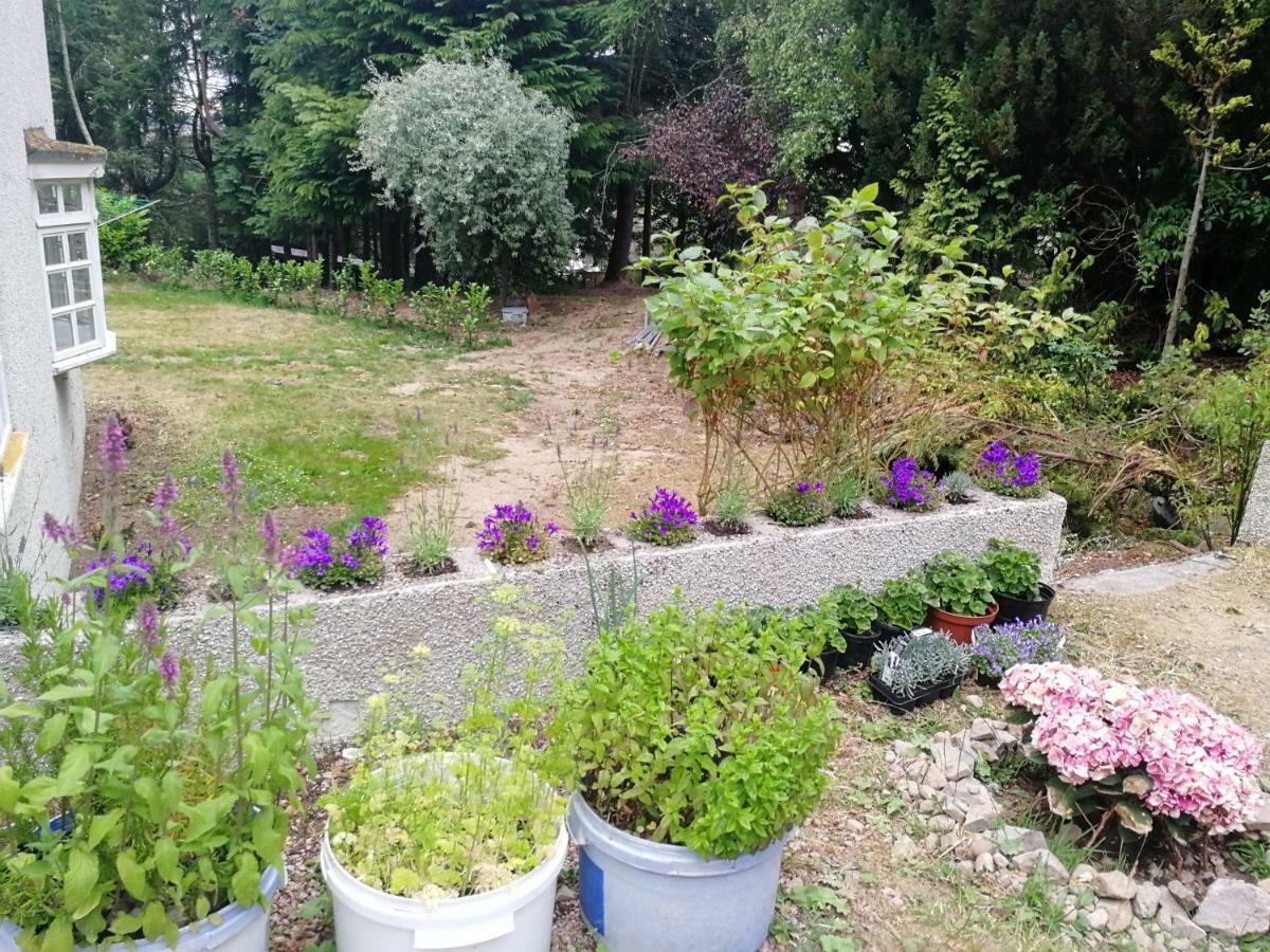 福里斯 Robinhill Garden酒店 外观 照片